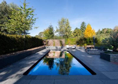 Swimming pool reflection adds light to the garden